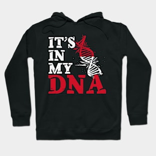 It's in my DNA - Poland Hoodie